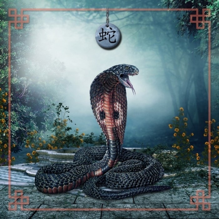 Tapete de cartomancia "ASTRO CHINÊS SERPENTE" - jersey neoprene - quadrado - 80 x 80 cm