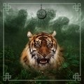 Kartomantimatta "ASTRO CHINESE TIGER" - neopren jersey - kvadratisk - 80 x 80 cm